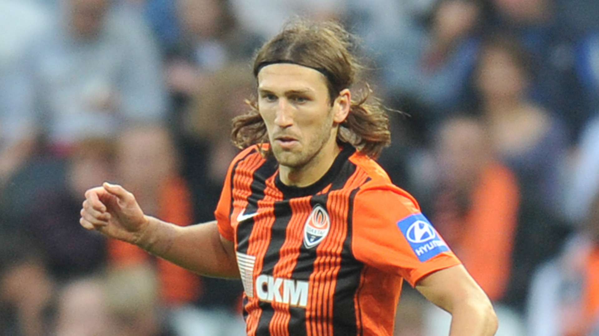 进而导致意 进而导致意