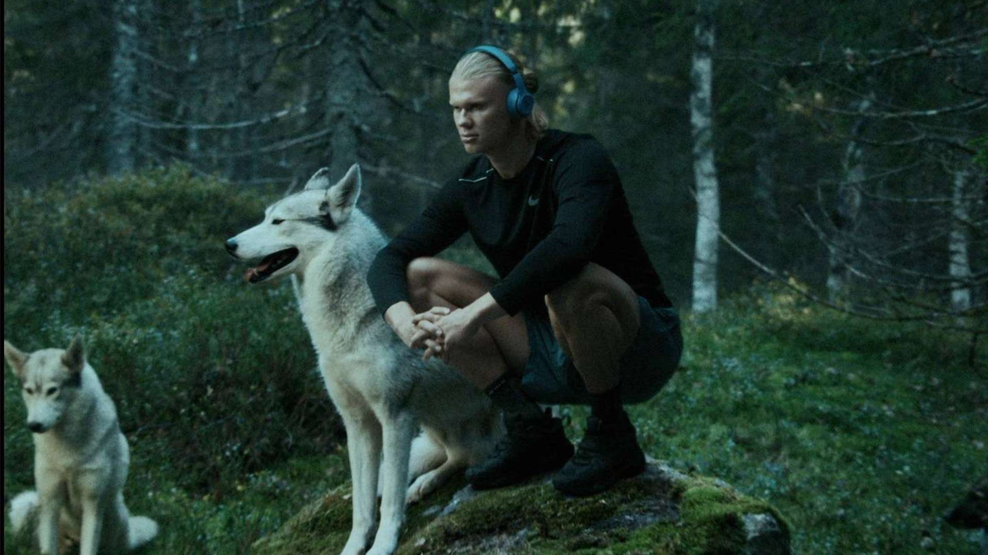 瞬息万变的 瞬息万变的